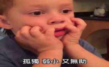 乐百唯一官网